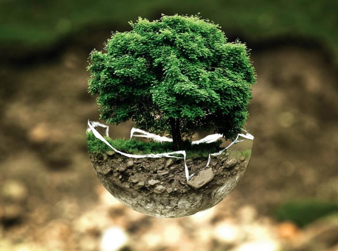 Ekologia: Zmieniajmy świat ku zrównoważonemu rozwojowi